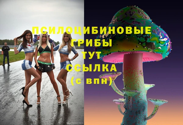 a pvp Алзамай