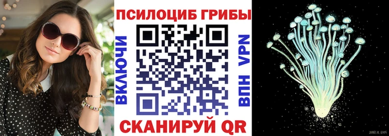 Псилоцибиновые грибы MAGIC MUSHROOMS  где купить   Нягань 