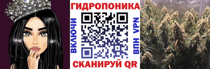 Бошки марихуана Amnesia  Нягань 